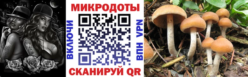 Псилоцибиновые грибы Magic Shrooms  Макаров 