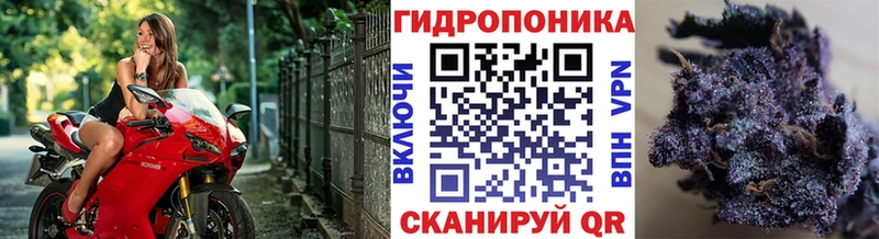 Каннабис VHQ Макаров